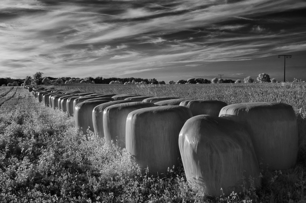 deutschland-2014-110 | Verpackte Strohballen auf einem abgemähten Feld in Selk bei Schleswig - Realisiert mit Pictrs.com