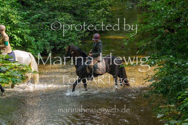 Jagd Perdoel_MarinaHewigMCH05135 | Fotografie, FotoArt, PferdesportArt, Pferdesportfotografie, Landschaftsfotografie, Reisefotografie, Reise, Pferde - Realisiert mit Pictrs.com