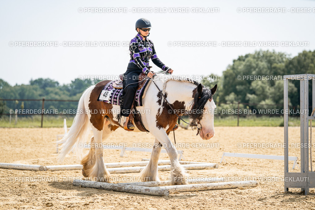 DSC00073 | Pferdegrafie