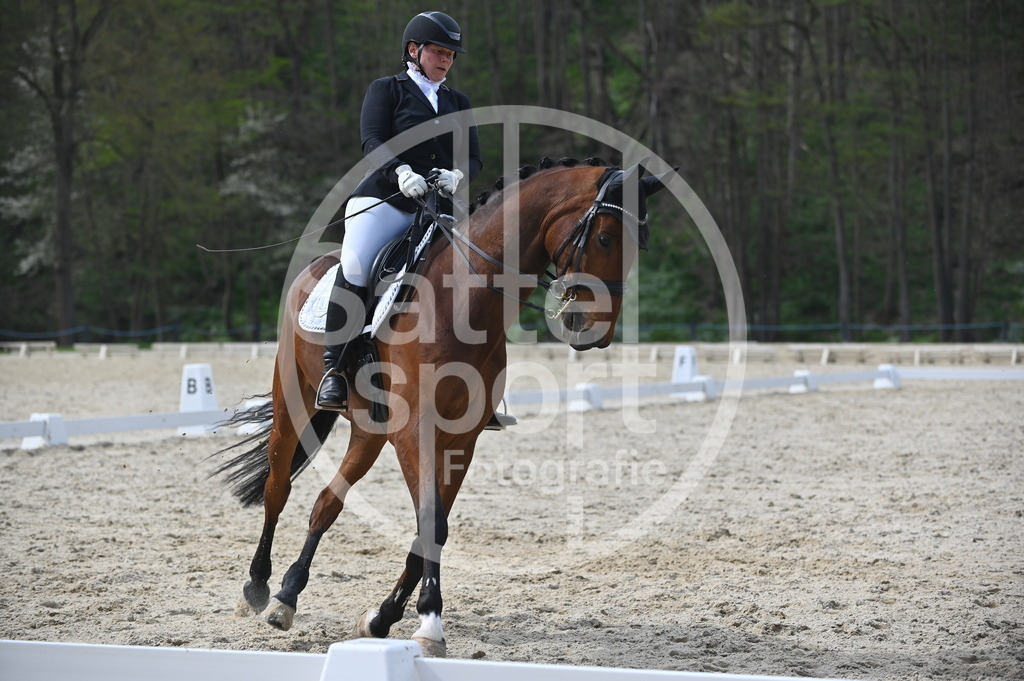 DSC_4639 | sattelsport - Realisiert mit Pictrs.com