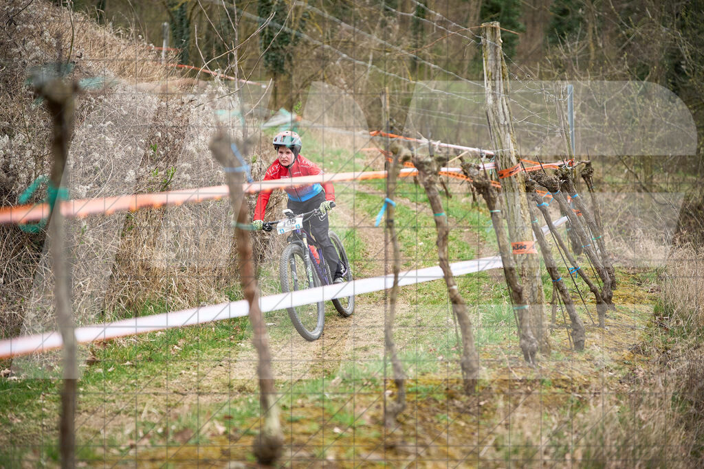 34. KTM Kamptal Trophy  | ZÖBING, Österreich – 2026-03-28: 34. KTM Kamptal TrophyFoto: © 2026 Martin Bihounek - MB Creative e.U.