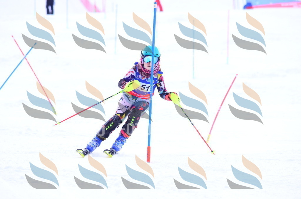 B1894 | holidayphoto