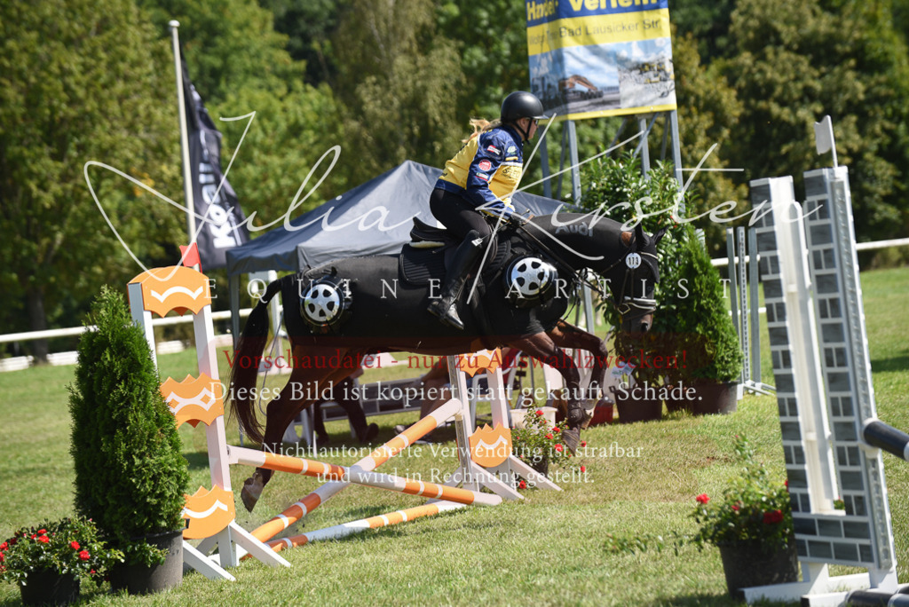 DSC_0399 | Pferde- und Turnierfotografie in Westsachsen. Pferdeportraits, Auftragszeichnungen und intuitive Kunst.