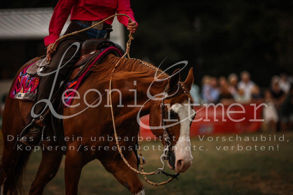 SaShow00172 | Leoni Ertmer Photography - Realisiert mit Pictrs.com