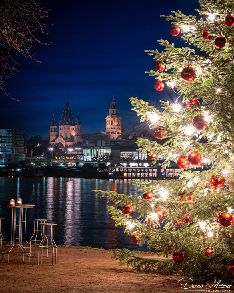 DSC_6750 2 | Fotografien, Fotos und Bilder aus Mainz, Frankfurt, Wiesbaden und anderen Orten auf der Welt - Fotografiert von Darius Metzner