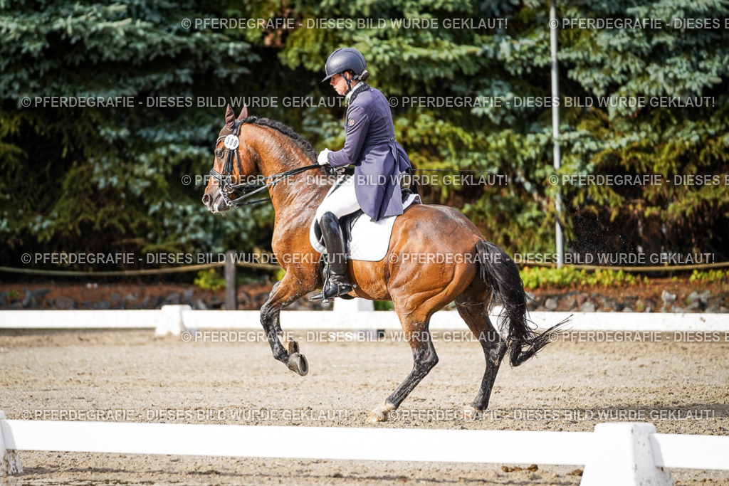 DSC00334 | Pferdegrafie