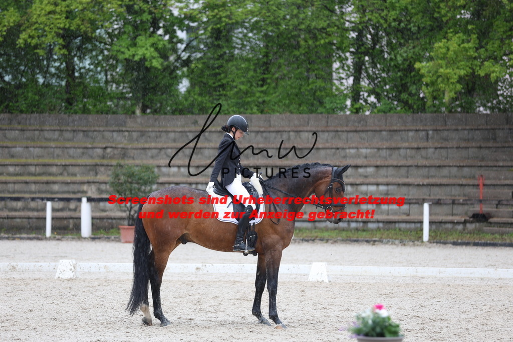 A40A9473 | lmwpictures - Realisiert mit Pictrs.com