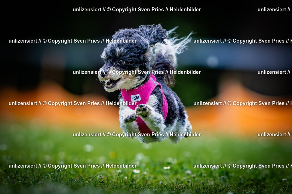 Sven Pries | 2025-05-29 - Pudelrennen KA-Durlach - Realisiert mit Pictrs.com