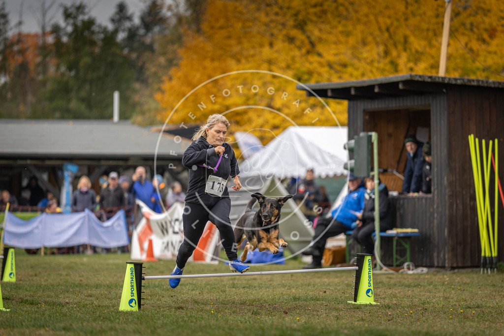 Pfotenfotografie_DV3A5402 | Hundefotografie, Tierfotograf, Pfotenfotografie, Fotoshooting Hund, Hunde Portrait, Hundesport, Hundeportraits, Heideshooting, Hunde, Sportfotograf, Hundefotograf, Turnierhundsport, THS,  - Realisiert mit Pictrs.com