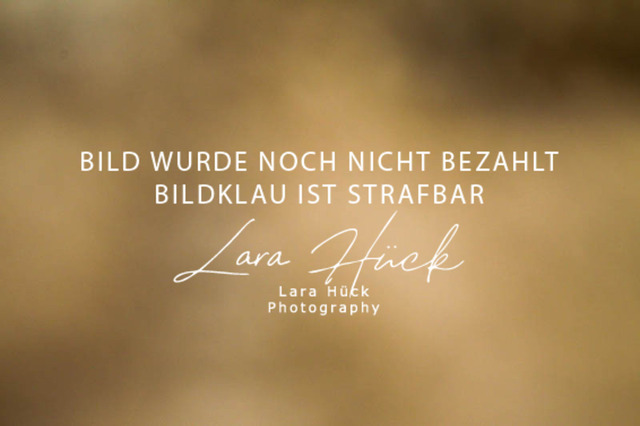 DKP45722 | larahueckfotografie