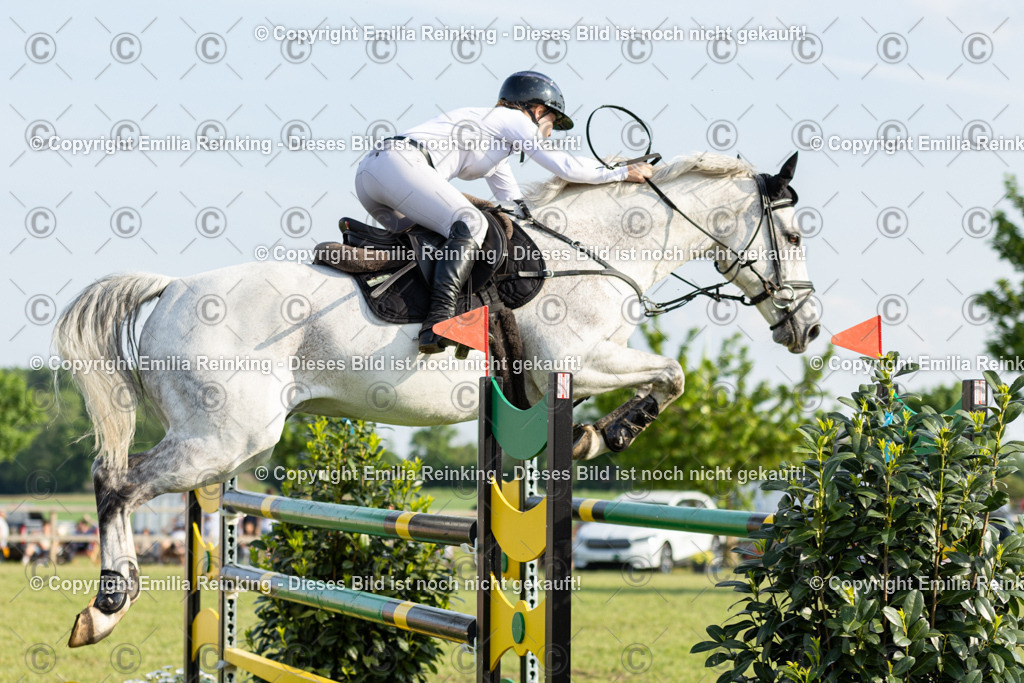 CL5A0861 | Emilia Reinking Fotografie - Realisiert mit Pictrs.com