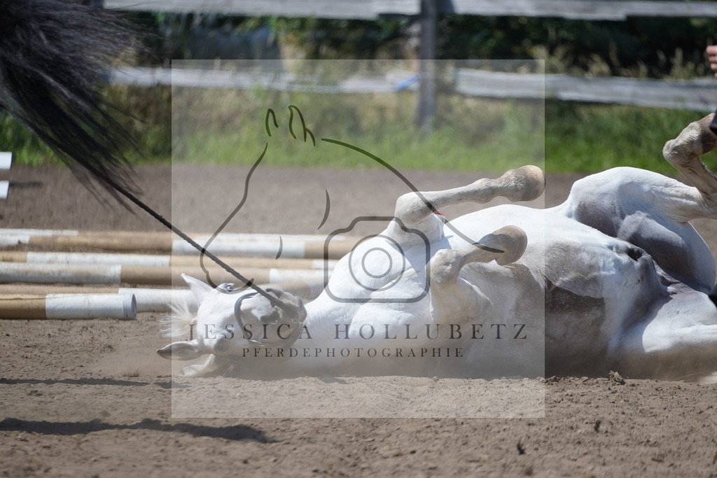 DSC09633 | jessicahollubetz_pferdephotographie - Realisiert mit Pictrs.com