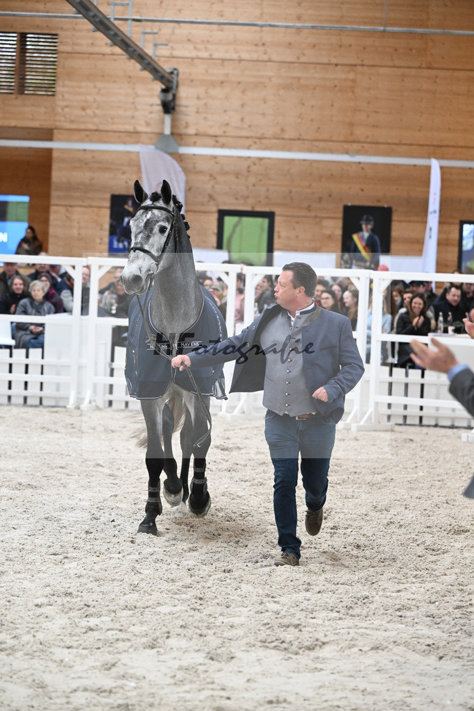 Kat-Nr. 97 Dominard v d Reeberg Z v. Dominator Z_KES GmbH_7240437 | hf-fotografie - Realisiert mit Pictrs.com