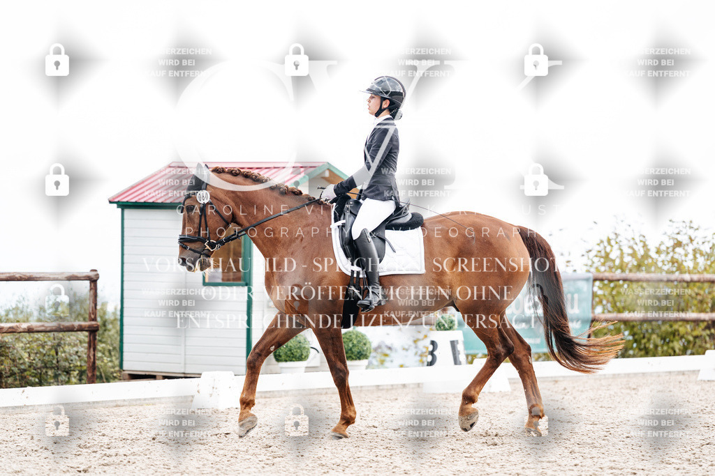 CK900802 | Turnierfotografie Pferdefotografie Trier Rheinland-Pfalz Pferdesport Reitsport Tierfotografie Sportfotografie Pferdevideo Pferdevideografie Equestrianvideography equestrianphotography  - Realisiert mit Pictrs.com