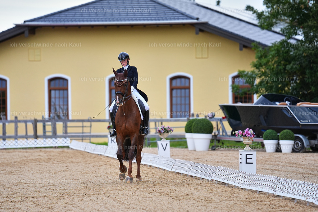8_1-085-Klasse S_  -Marixx-4099 | working equitationturnier fotograf videograf stoibphotography marixx film working equitation deutschland reitsport turnierfotografie eventfotografie equestrian events