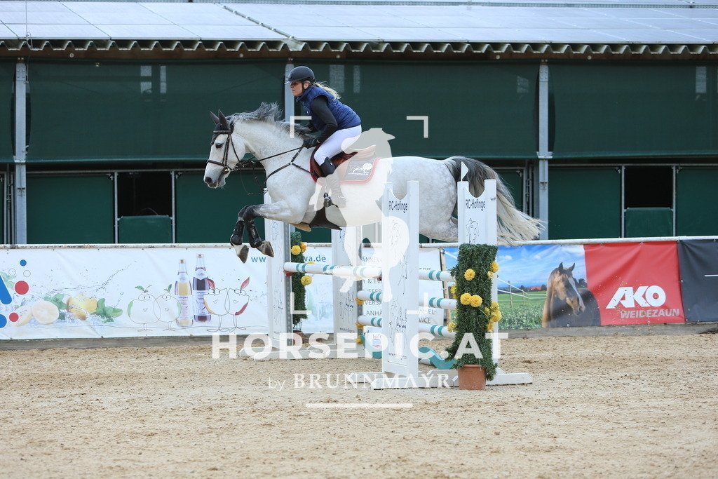 DL2Q0021 | Willkommen bei Brunnmayr - Design & Fotografie – Ihrem Spezialisten für Reitturniere und Pferdeveranstaltungen in Oberösterreich, Salzburg und Bayern! Seit über 17 Jahren sind wir leidenschaftlich dabei.