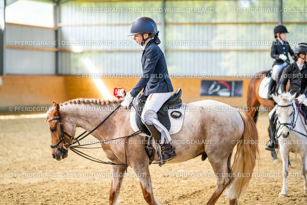 DSC02784 | Pferdegrafie