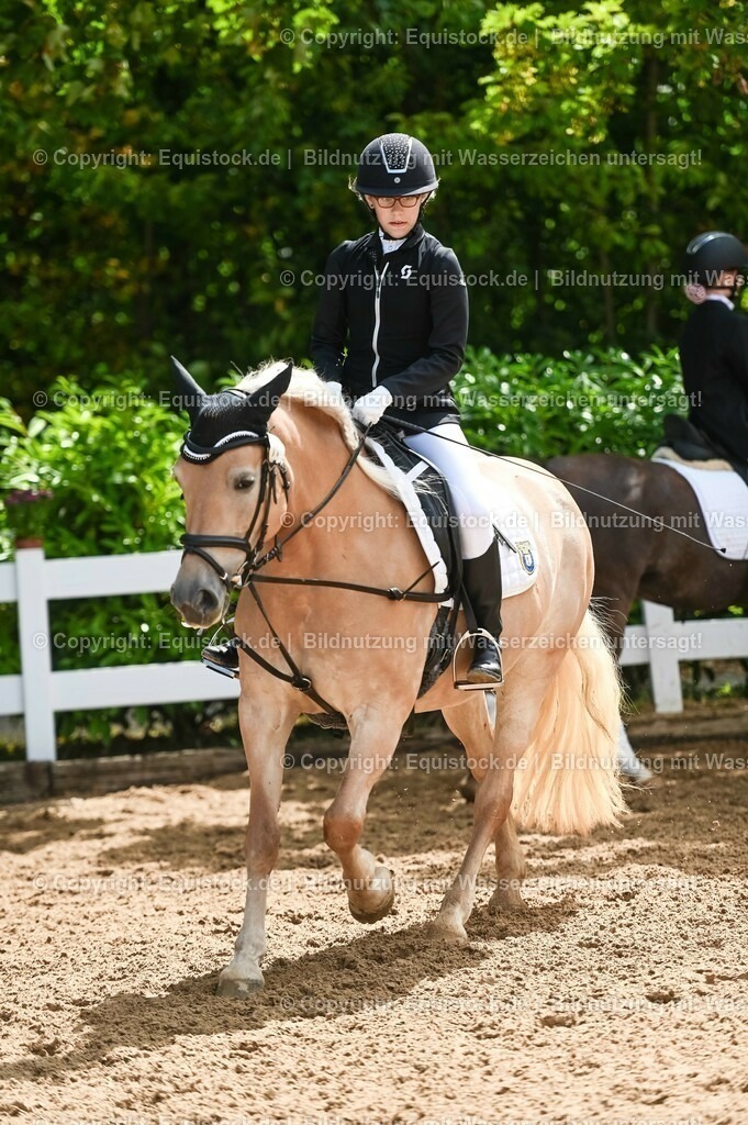 20230716_10-3_Reiter-WB Schritt - Trab - Galopp_0093 | equistock