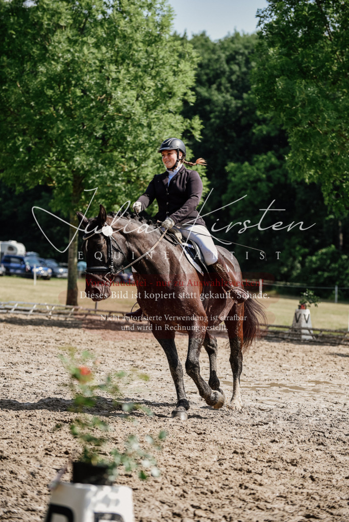 DSC_0179 | Pferde- und Turnierfotografie in Westsachsen. Pferdeportraits, Auftragszeichnungen und intuitive Kunst.
