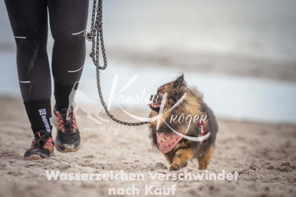 1150_ZZ92041 | kk-dogfotos