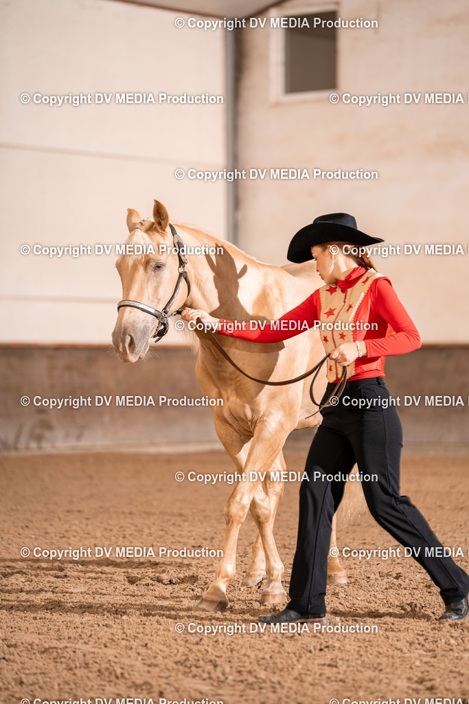 LM Heiligenwald Tag 1-25 | dv-media-shop - Realisiert mit Pictrs.com