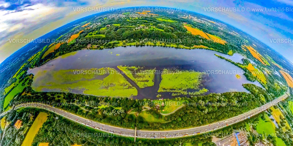 Bochum240790004KemnaderSeeElodea | Luftbild, Kemnader Stausee mit Elodea, Wasserpest, Algenblüte, Segelboote und Stand-Up Paddeler, Bochum, Nordrhein-Westfalen, Deutschland