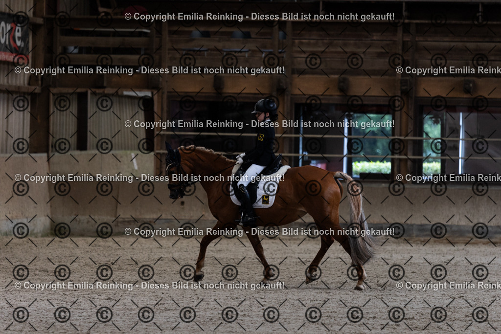 CL5A3812 | Emilia Reinking Fotografie - Realisiert mit Pictrs.com