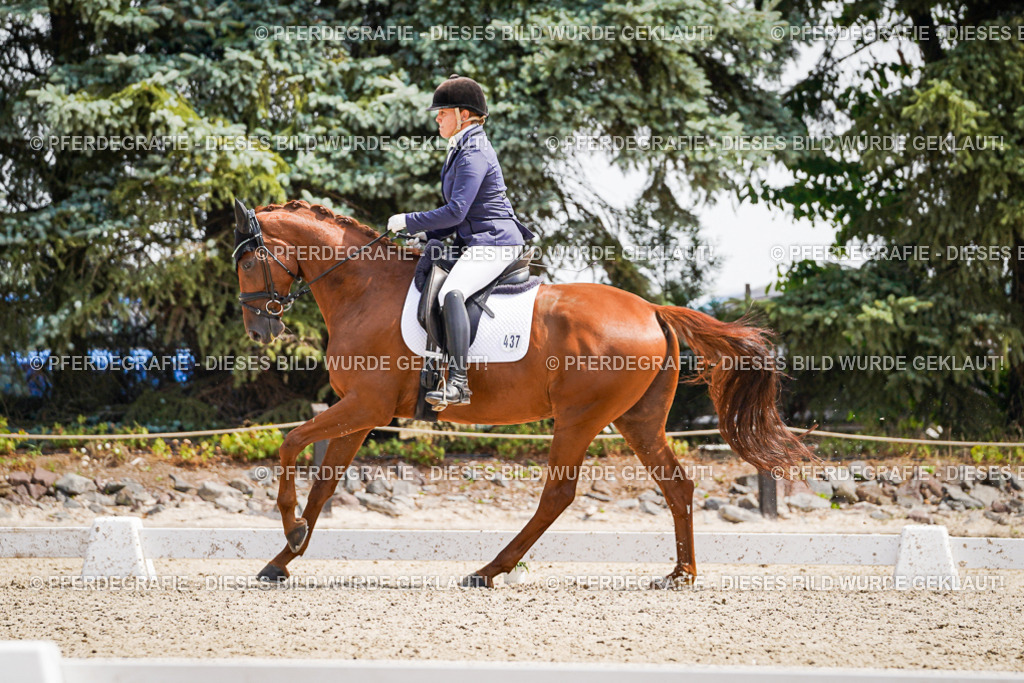 DSC00572 | Pferdegrafie