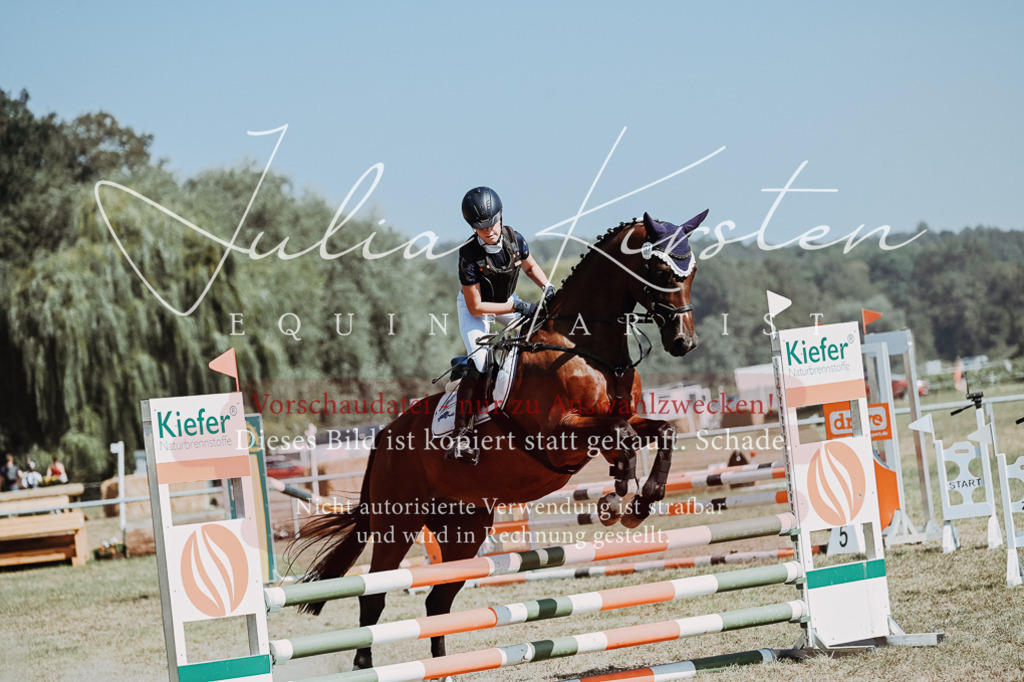 DSC_9803 | Pferde- und Turnierfotografie in Westsachsen. Pferdeportraits, Auftragszeichnungen und intuitive Kunst.