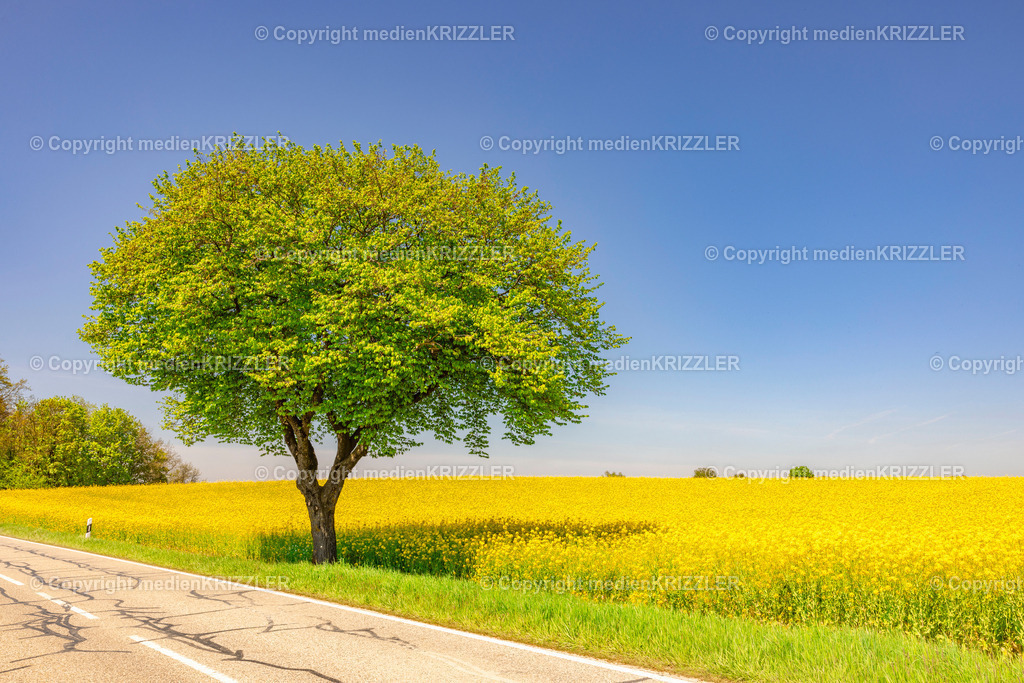 _J3A0635 | medienkrizzler - Realisiert mit Pictrs.com