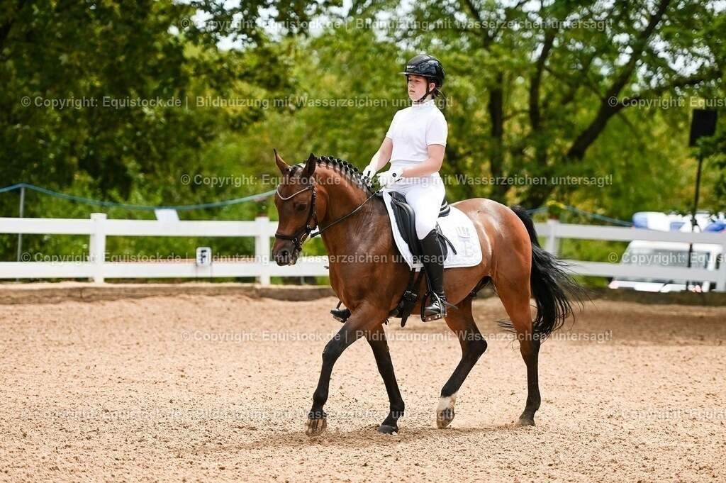 20230715_05_Dressurprüfung Kl.A++_0016 | equistock