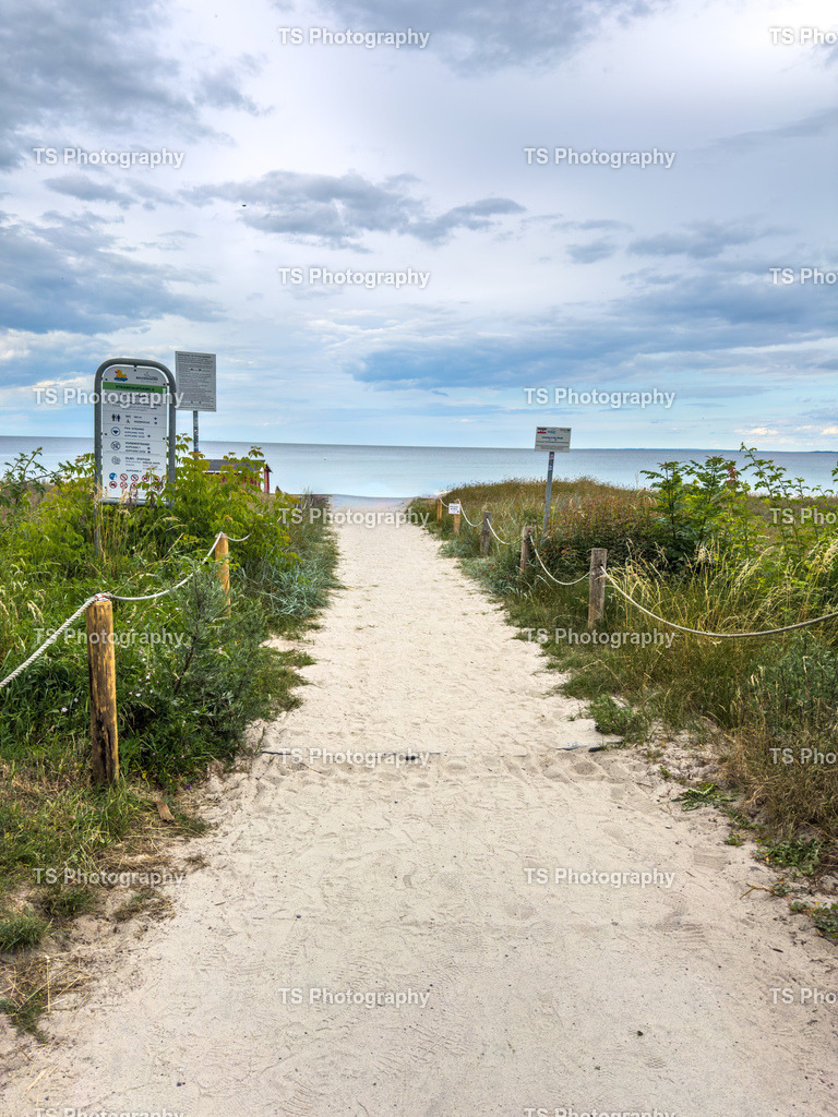 IMG_7881 | TS Photography - Realisiert mit Pictrs.com