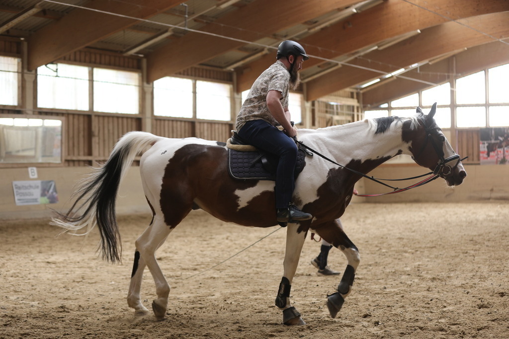 0P6A9047 | Willkommen bei Brunnmayr - Design & Fotografie – Ihrem Spezialisten für Reitturniere und Pferdeveranstaltungen in Oberösterreich, Salzburg und Bayern! Seit über 17 Jahren sind wir leidenschaftlich dabei.