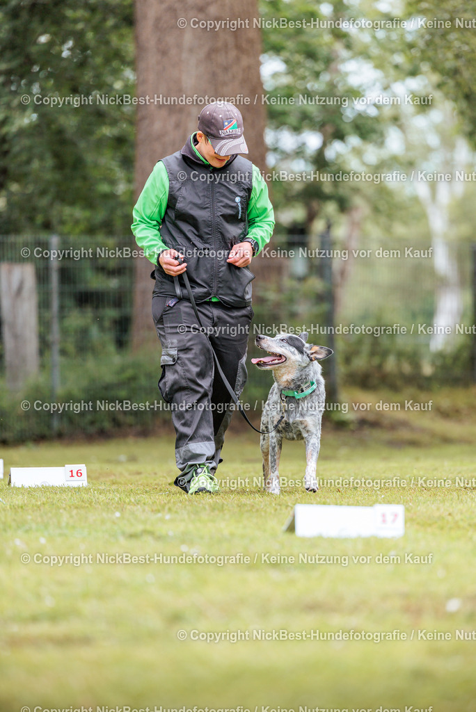 RO-Blumenthal-2026-Nickbest-Hundefotografie-5426 | Dein Hund! Dein Moment! Deine Erinnerungen! Hundefotografie in Bremen Blumenthal. Ich fange die besonderen Momente deines Vierbeiners ein – ob Indoor mit Blitzanlage oder in der freien Natur. Sicher dir dein Moment und dein Termin für eure Erinnerungen.