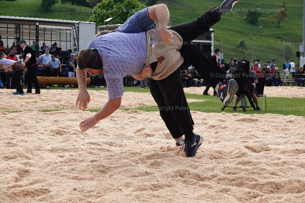 DSC00673 | Schwingen - Realisiert mit Pictrs.com