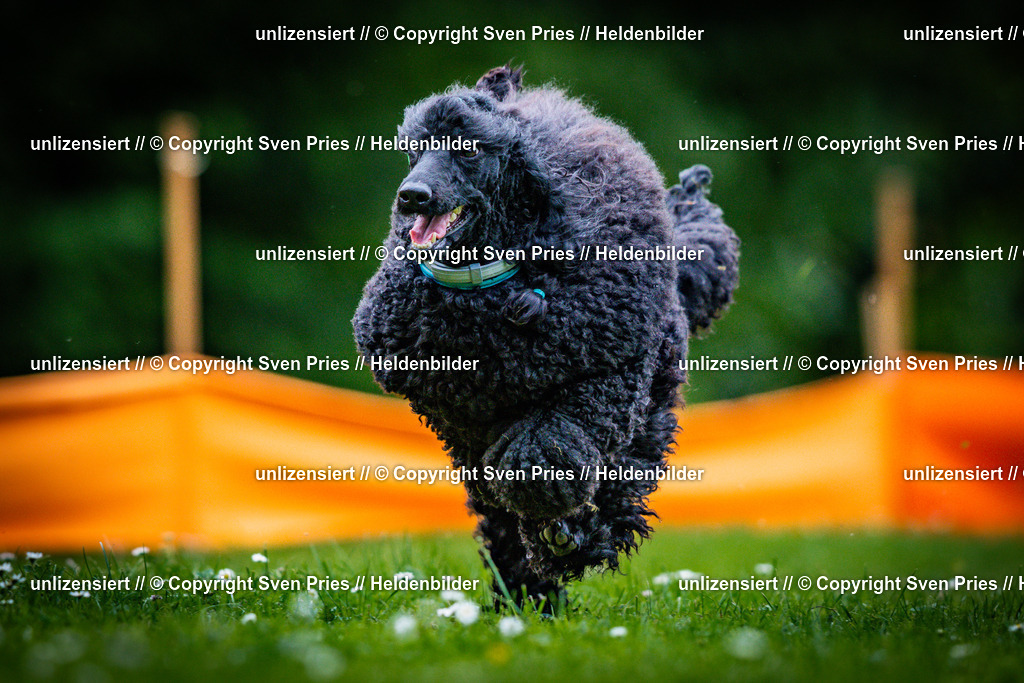 Sven Pries | 2025-05-29 - Pudelrennen KA-Durlach - Realisiert mit Pictrs.com