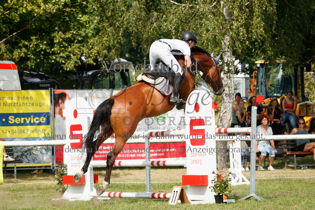 IMG_3765 | P. Berger Fotografie - Realisiert mit Pictrs.com