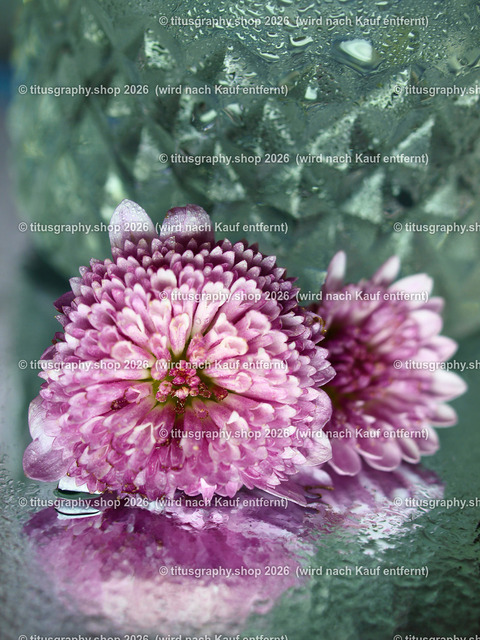 titusgraphy_PC041739-vz-ln | titusgraphy-shop: Geschenkideen mit Qualitätsfotos. titusgraphy-shop: gift ideas with quality photos. titusgraphy-shop: idées cadeaux avec photos de qualité.  - Realisiert mit Pictrs.com