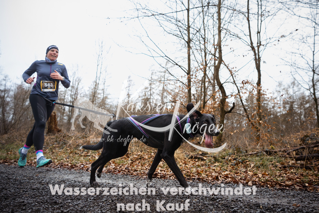 1052_ZZ97798 | kk-dogfotos