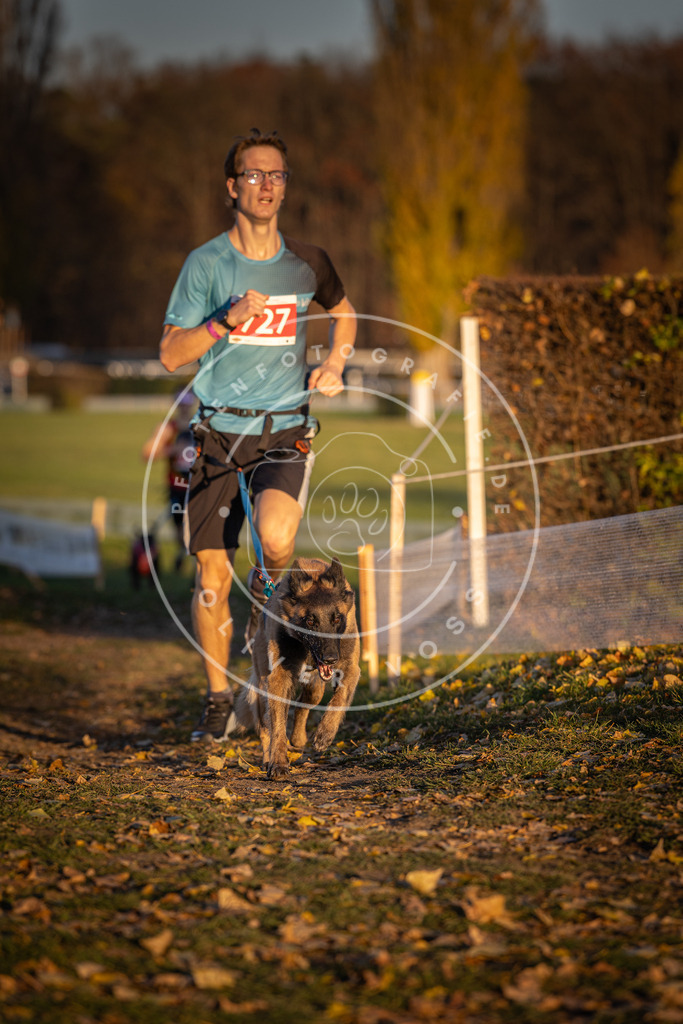 CaniXpix_DV3A5068 | Hundefotografie, Tierfotograf, Pfotenfotografie, Fotoshooting Hund, Hunde Portrait, Hundesport, Hundeportraits, Heideshooting, Hunde, Sportfotograf, Hundefotograf, Turnierhundsport, THS,  - Realisiert mit Pictrs.com