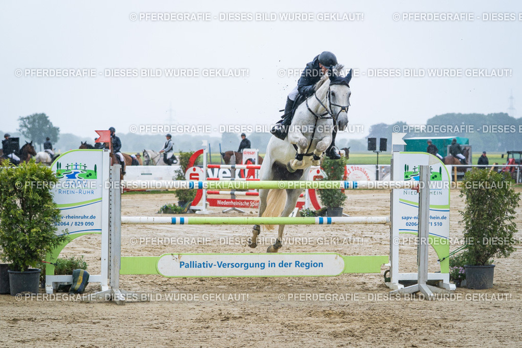 DSC00039 | Pferdegrafie