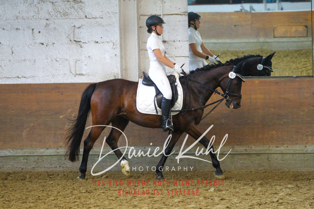 DKP44000 | Turniersportfotografie; Pferdefotografie; Dressurfotografie