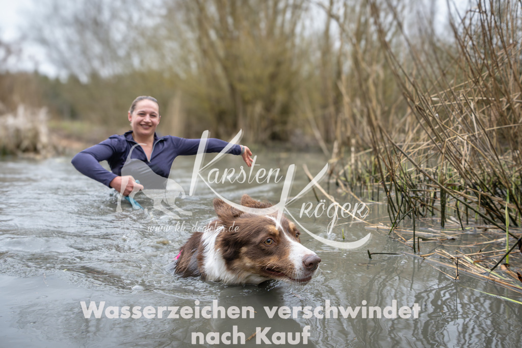 1036_ZZ91405 | kk-dogfotos