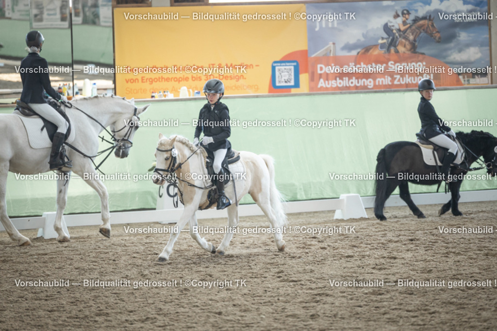 _D5A8850 | Emotionale Pferde- & People-Fotografie rund um Heidelberg, Leimen & Umgebung. Natürliche Fotos von Pferd, Mensch & Familie. Jetzt Termin sichern!