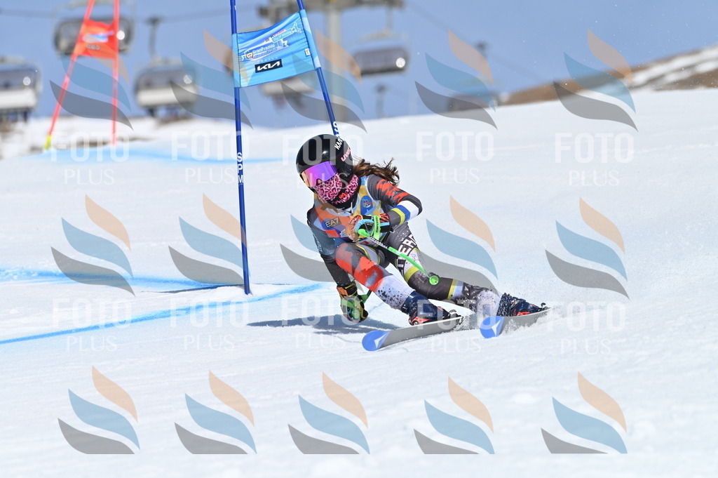 BGV_9684 | holidayphoto