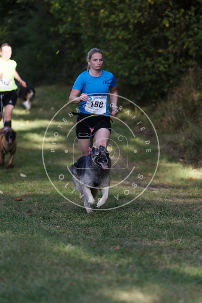 0L8A5198 | Hundefotografie, Tierfotograf, Pfotenfotografie, Fotoshooting Hund, Hunde Portrait, Hundesport, Hundeportraits, Heideshooting, Hunde, Sportfotograf, Hundefotograf, Turnierhundsport, THS,  - Realisiert mit Pictrs.com