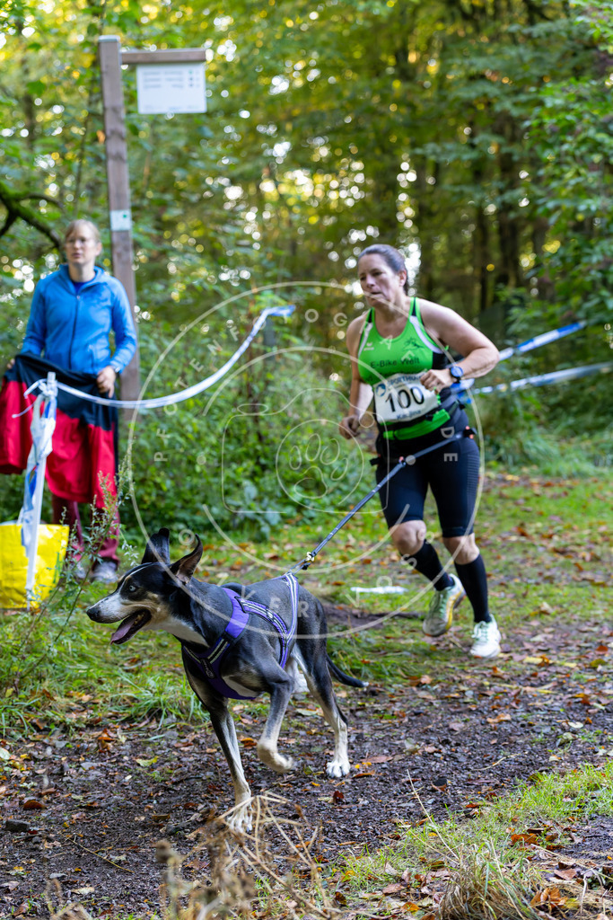 Pfotenfotografie_DV3A7913 | Hundefotografie, Tierfotograf, Pfotenfotografie, Fotoshooting Hund, Hunde Portrait, Hundesport, Hundeportraits, Heideshooting, Hunde, Sportfotograf, Hundefotograf, Turnierhundsport, THS,  - Realisiert mit Pictrs.com