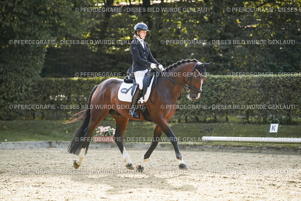 DSC05040 | Pferdegrafie