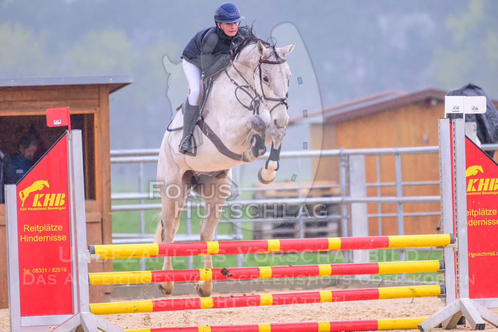10042026-Mammendorf-Prfg14-0140 | Fokus Hufschlag Fotografie - Realisiert mit Pictrs.com