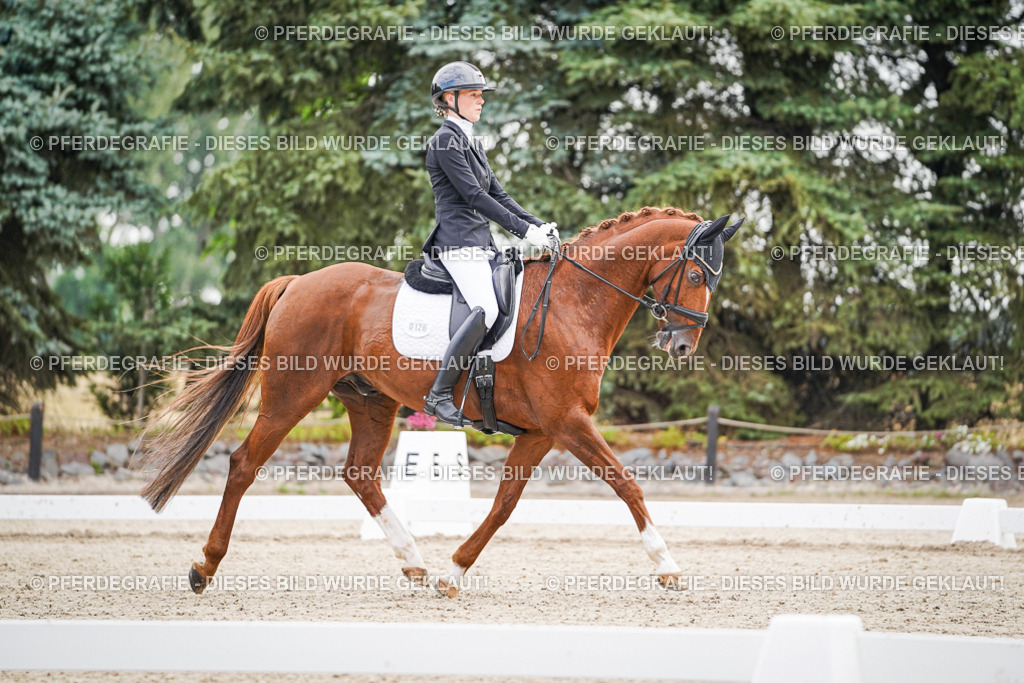 DSC01245 | Pferdegrafie